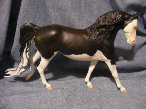 Knightly Cadence Painted by Pat McDonald