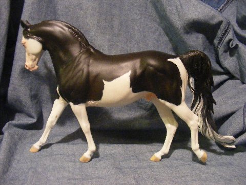 Knightly Cadence Painted by Pat McDonald