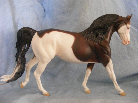 Knightly Cadence Painted by Pat McDonald