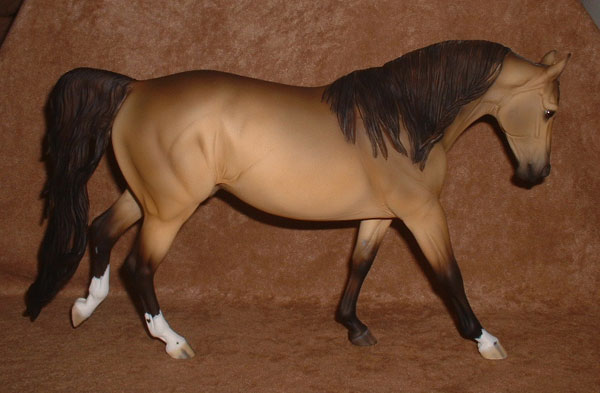 Knightly Cadence Painted by Lyn Norbury