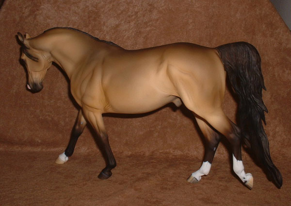 Knightly Cadence Painted by Lyn Norbury