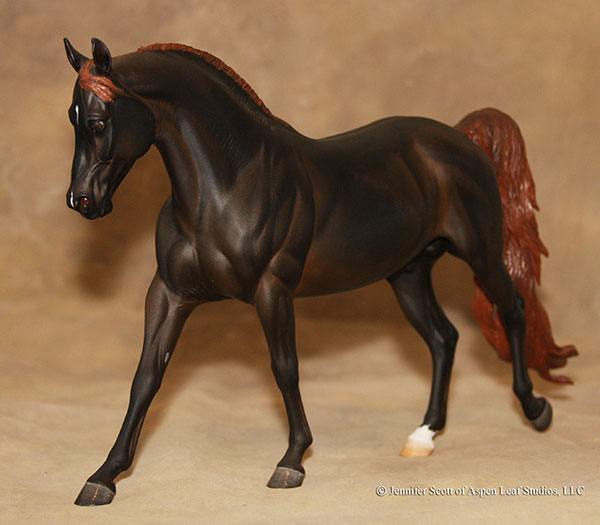 Knightly Cadence Painted by Jennifer Scott