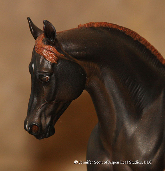 Knightly Cadence Painted by Jennifer Scott