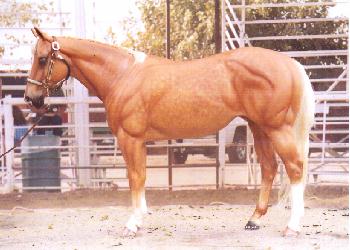 Matriarch Painted by Karon Grieve