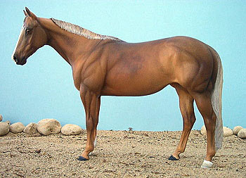 Matriarch Painted by DeeAnn Kjelshus-Johnson