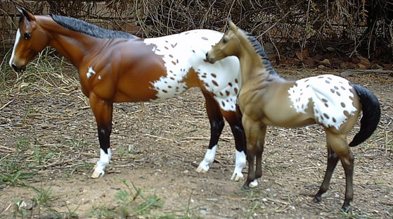 Matriarch Painted by Sommer Prosser