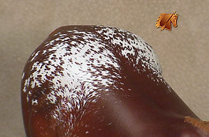 Matriarch #3 Painted by Carol Williams