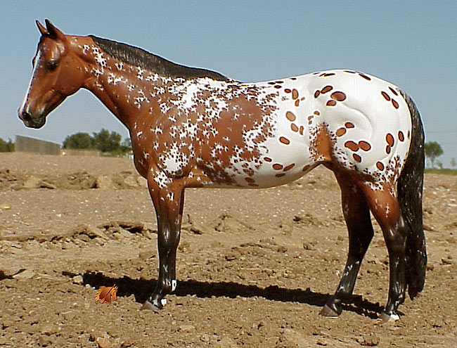 Matriarch #8 Painted by Carol Williams