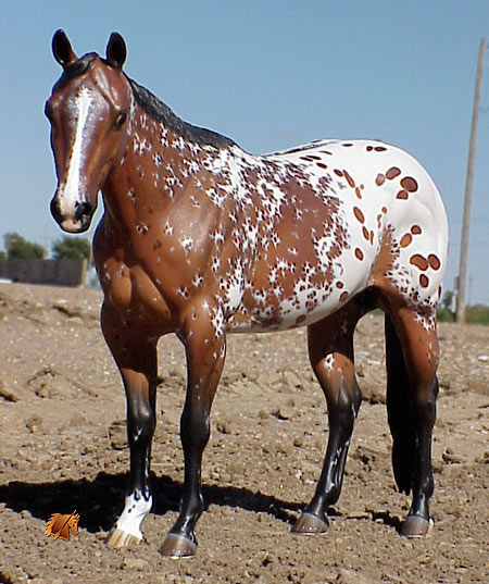 Matriarch #8 Painted by Carol Williams