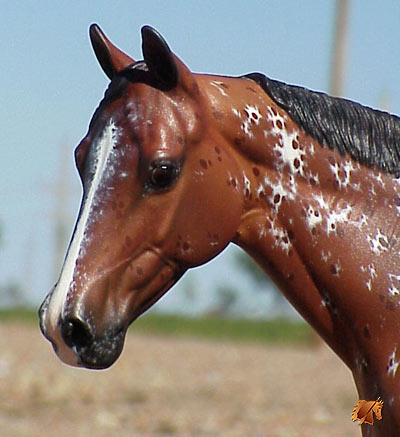 Matriarch #8 Painted by Carol Williams