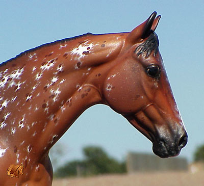 Matriarch #8 Painted by Carol Williams