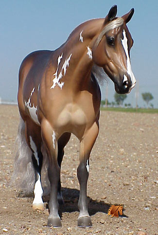 Matriarch #9 Painted by Carol Williams