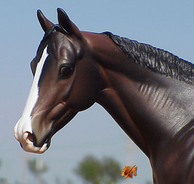 Matriarch #10 Painted by Carol Williams