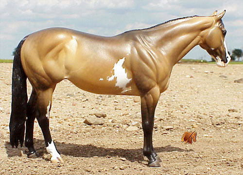 Matriarch #11 Painted by Carol Williams