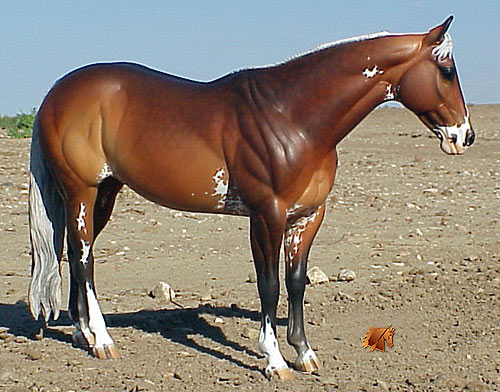 Matriarch #16 Painted by Carol Williams