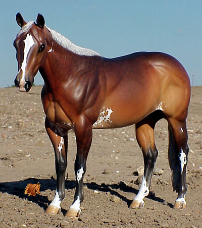 Matriarch #16 Painted by Carol Williams