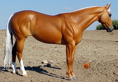 Matriarch #17 Painted by Carol Williams