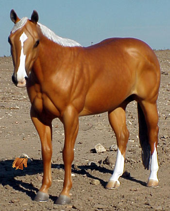 Matriarch #17 Painted by Carol Williams