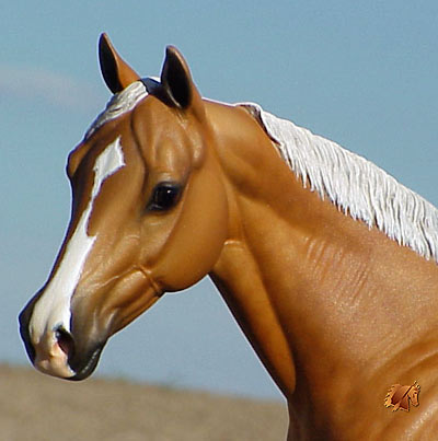 Matriarch #17 Painted by Carol Williams