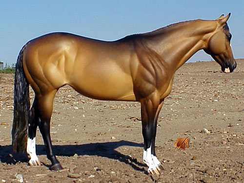 Matriarch #18 Painted by Carol Williams