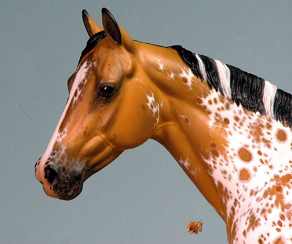 Matriarch #19 Painted by Carol Williams