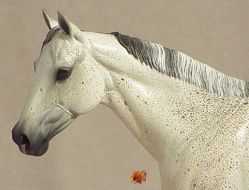 Matriarch #21 Painted by Carol Williams