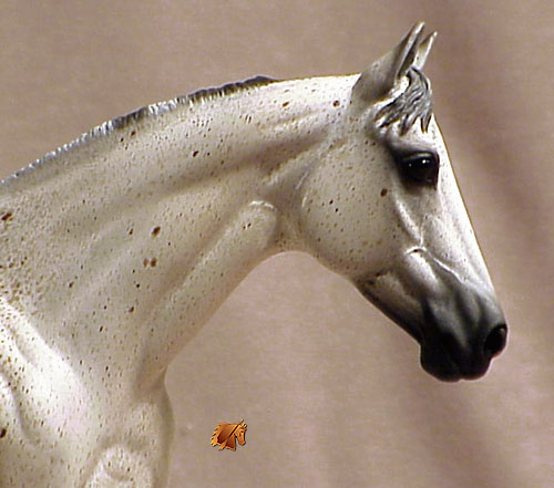 Matriarch #21 Painted by Carol Williams