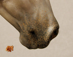 Matriarch #26 Painted by Carol Williams