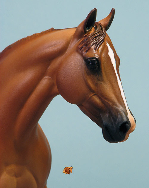 Matriarch #28 Painted by Carol Williams