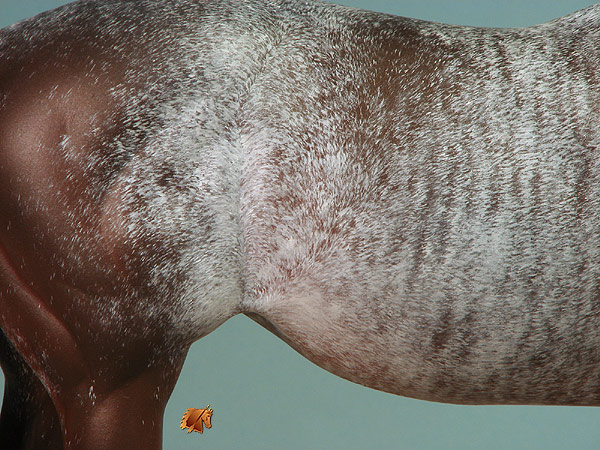 Matriarch #29 Painted by Carol Williams