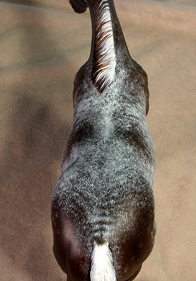 Matriarch #29 Painted by Carol Williams