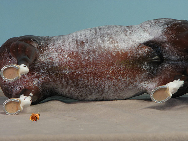 Matriarch #29 Painted by Carol Williams