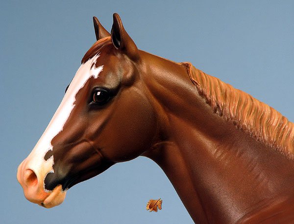 Matriarch #35 Painted by Carol Williams