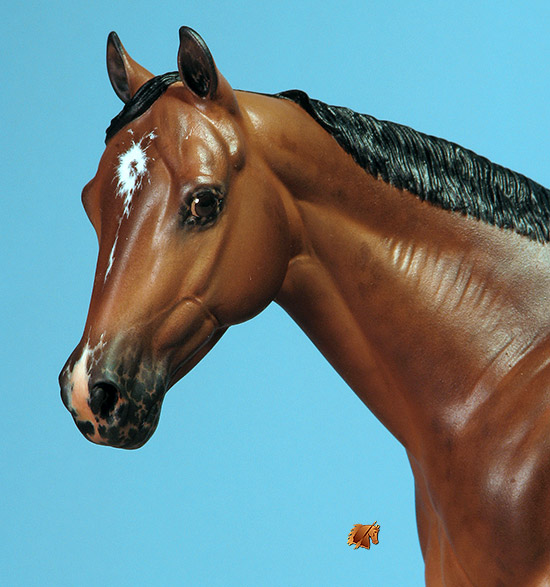 Matriarch #40 Painted by Carol Williams