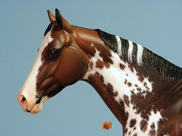 Matriarch #45 Painted by Carol Williams