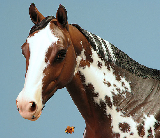 Matriarch #45 Painted by Carol Williams