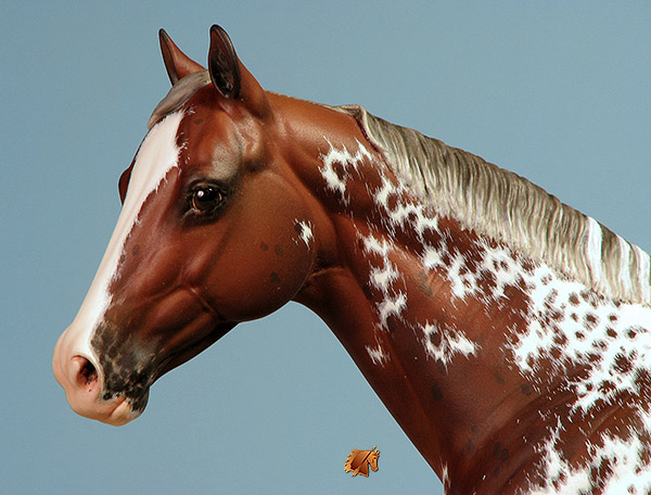 Matriarch #46 Painted by Carol Williams
