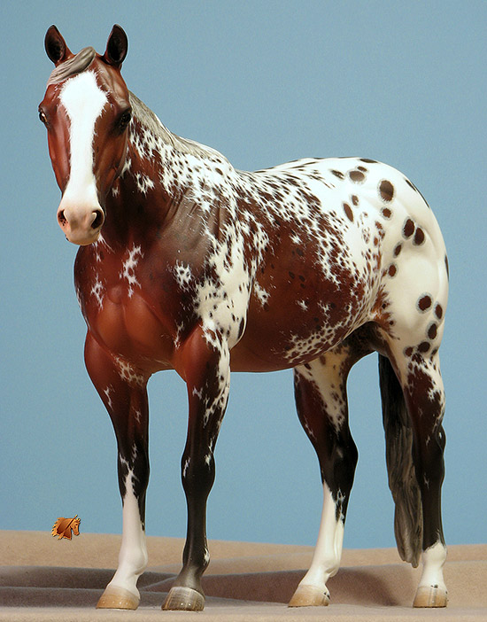 Matriarch #46 Painted by Carol Williams