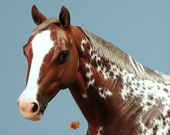 Matriarch #46 Painted by Carol Williams