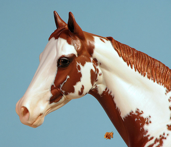 Matriarch #46 Painted by Carol Williams