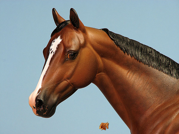 Matriarch #48 Painted by Carol Williams