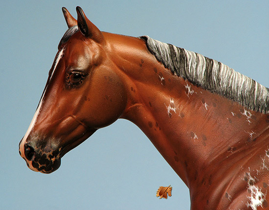 Matriarch #50 Painted by Carol Williams