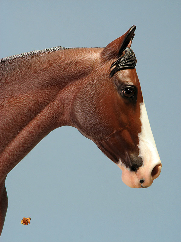 Matriarch #51 Painted by Carol Williams