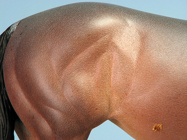 Matriarch #51 Painted by Carol Williams