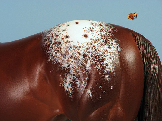 Matriarch #54 Painted by Carol Williams