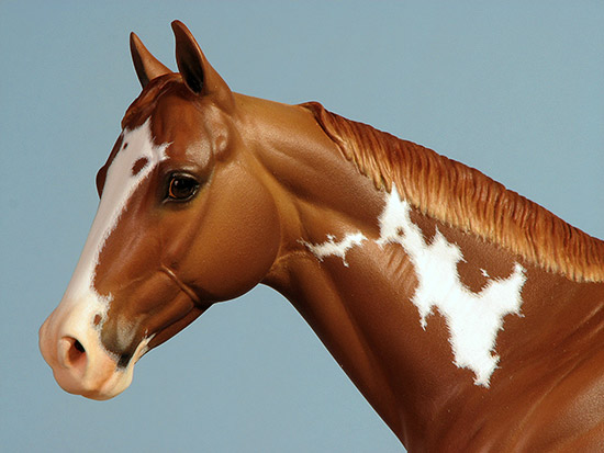 Matriarch #56 Painted by Carol Williams