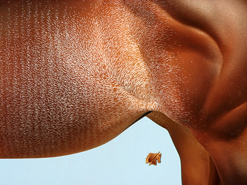 Matriarch #59 Painted by Carol Williams