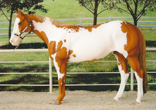 Matriarch Painted by Sheri Rhodes