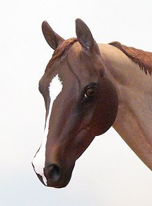 Matriarch Painted by Lynn Weber