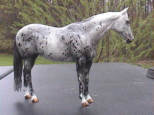 Matriarch Painted by Billie Campbell